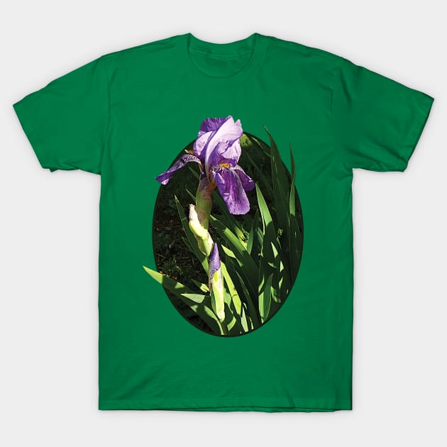 Irises - Purple Iris in Sunshine T-Shirt by SusanSavad